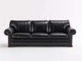 Canapé 3 places - Cuir - 219x96x87 cm - Noir - Style classique